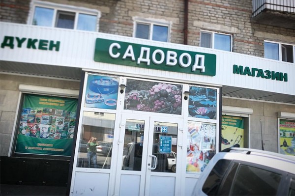 Магазин Телефонов Кокшетау