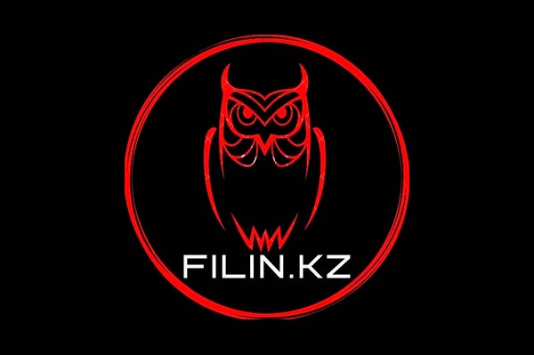 Компания «Filin.kz»