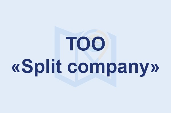 ТОО «Split company»