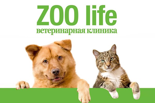Ветеринарная клиника «Zoolife»