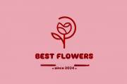 Цветочный магазин «Best Flowers»