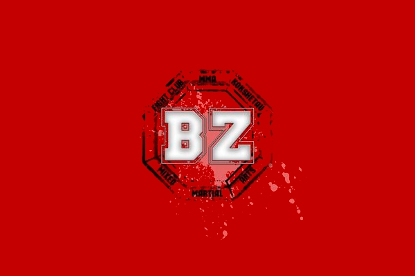 Клуб смешанных единоборств «BZ MMA»