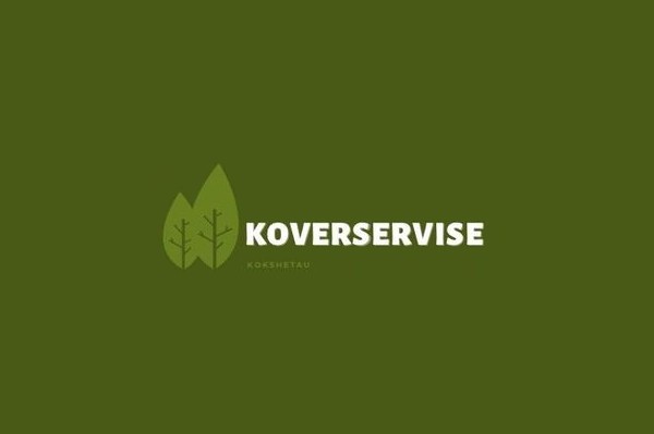 Чистка ковров и мебели «Kover Servise»